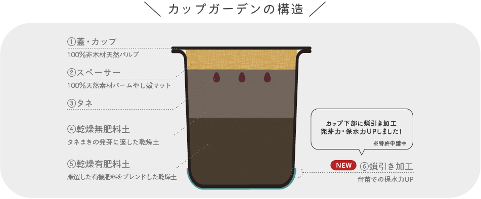 カップガーデンの構造