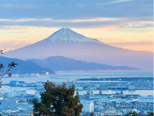 富士見台農園・富士山